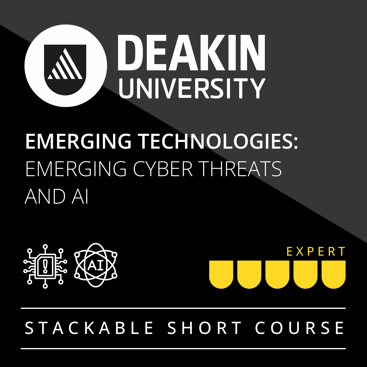 Emerging Technologies: Emerging Cyber Threats and AI
