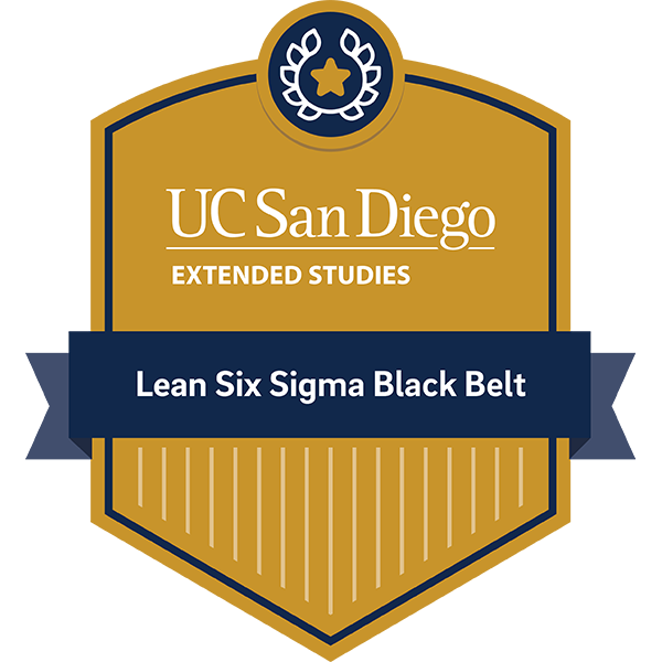 Lean Six Sigma Black Belt