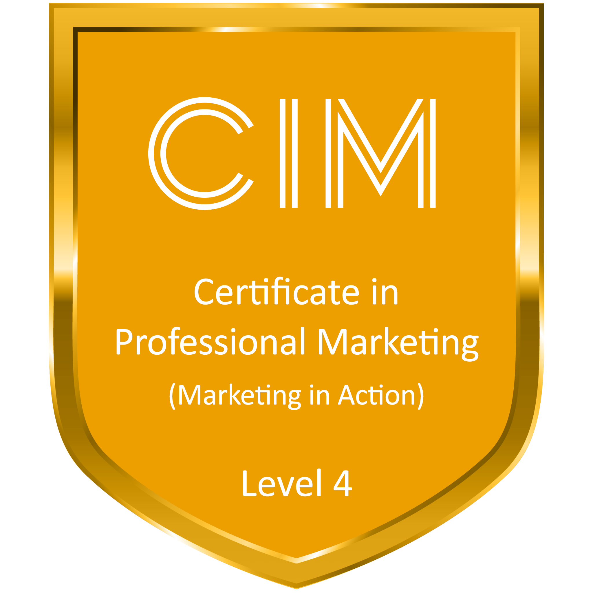 Certificate in Professional Marketing (Marketing in Action)