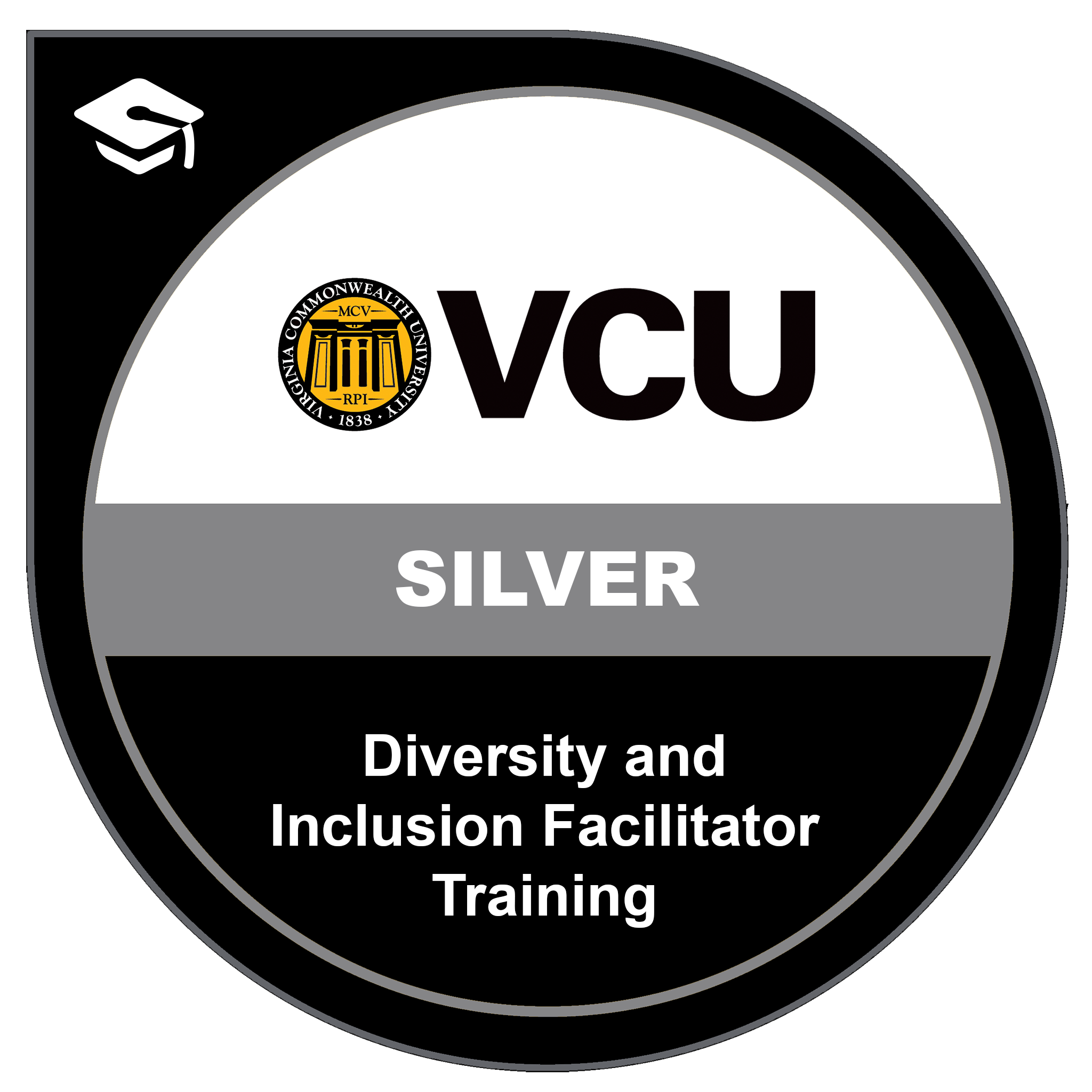 Diversity and Inclusion Facilitator Training