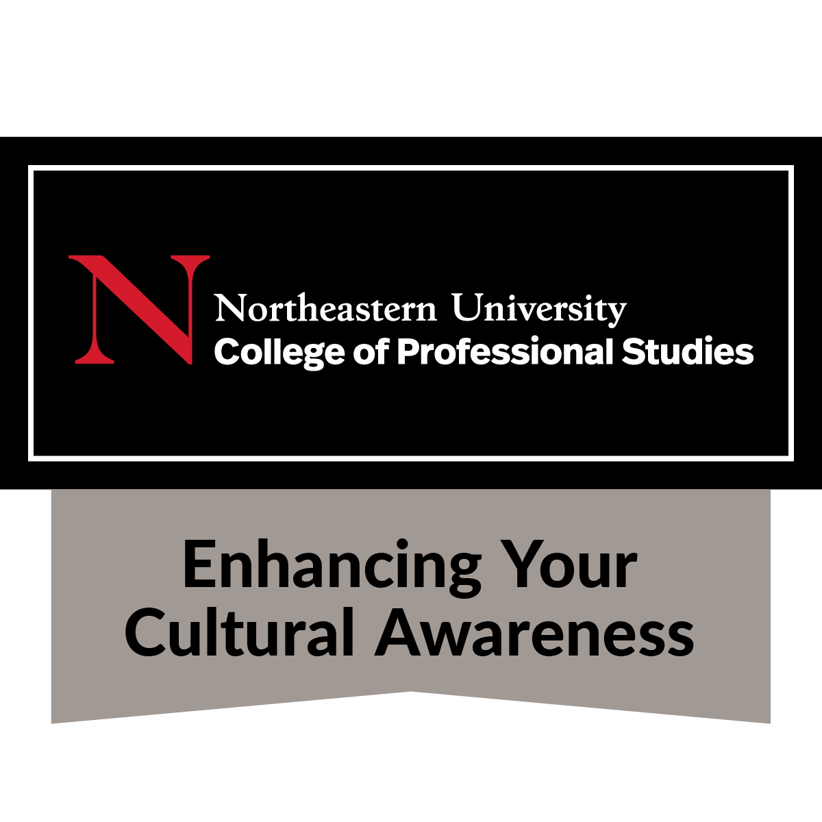Enhancing Your Cultural Awareness