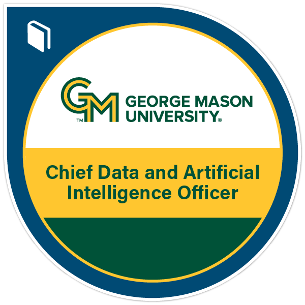 Chief Data and Artificial Intelligence Officer
