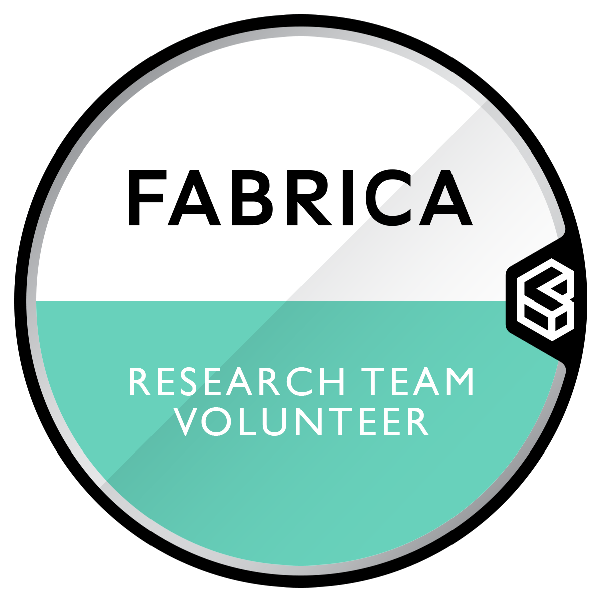 Fabrica Gallery Research Team Volunteer