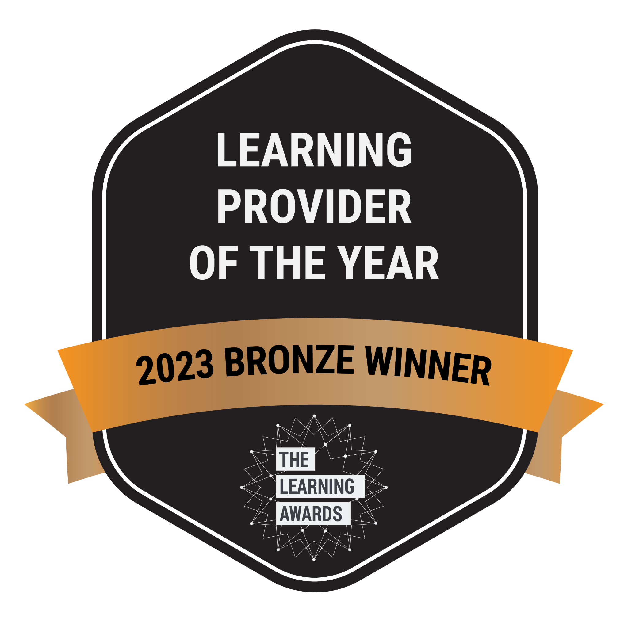 Learning Provider of the Year 2023 - Bronze Winner