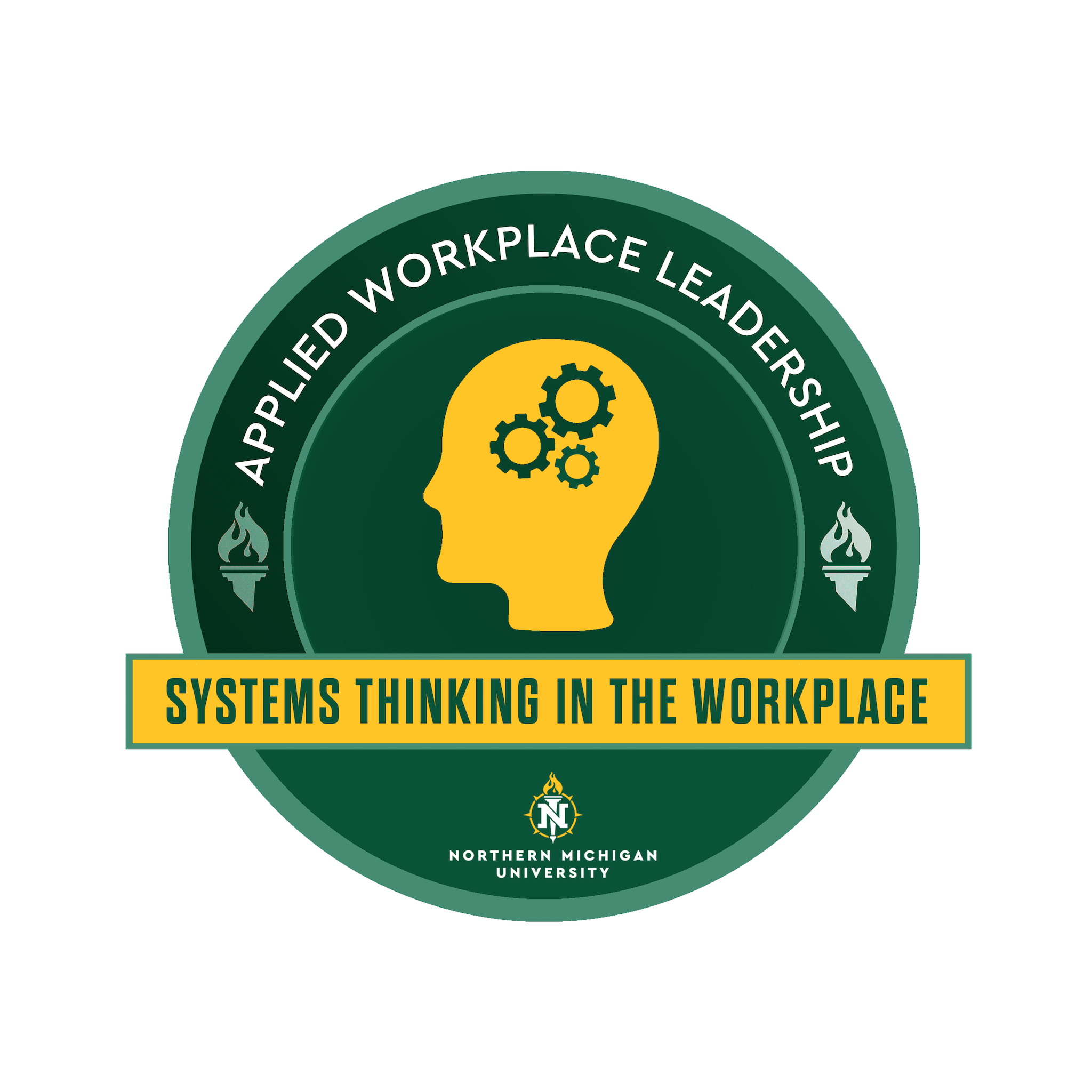 Systems Thinking in Workplace Leadership - LDR 400