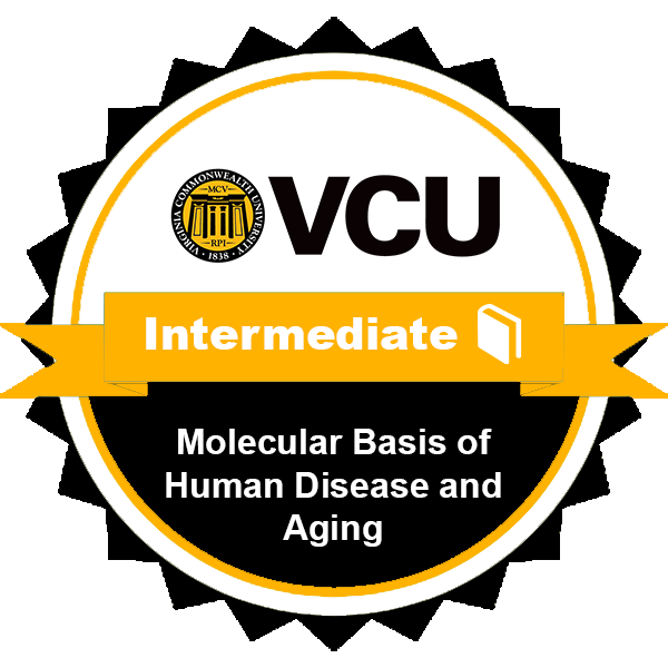 Molecular Basis of Human Disease and Aging