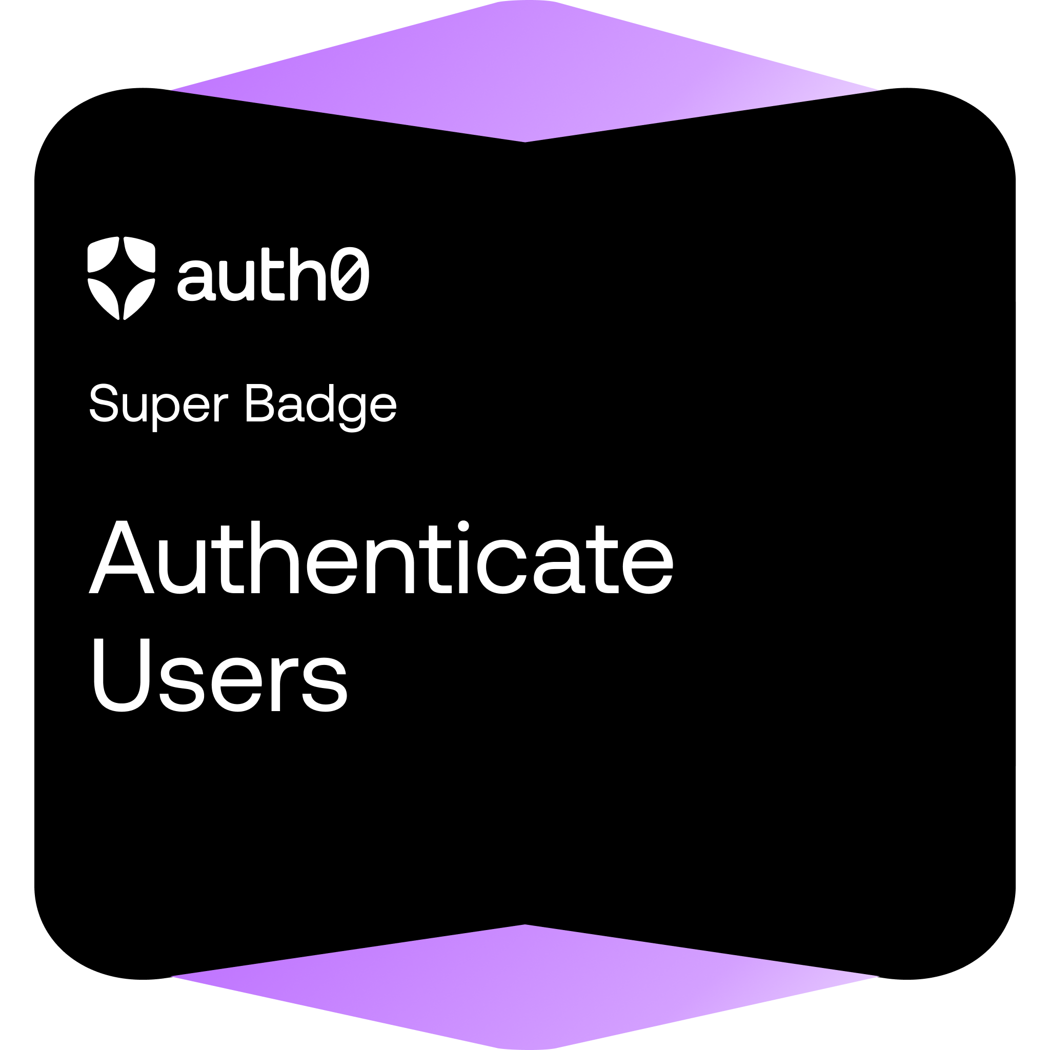 Authenticate Users