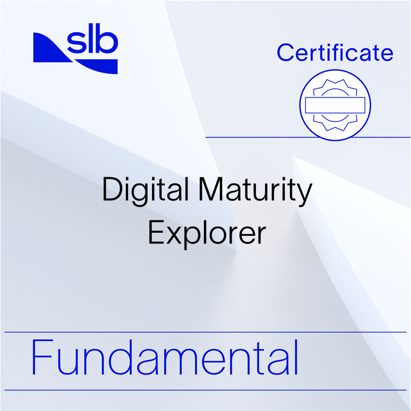 Digital Maturity Explorer - Fundamental Certificate