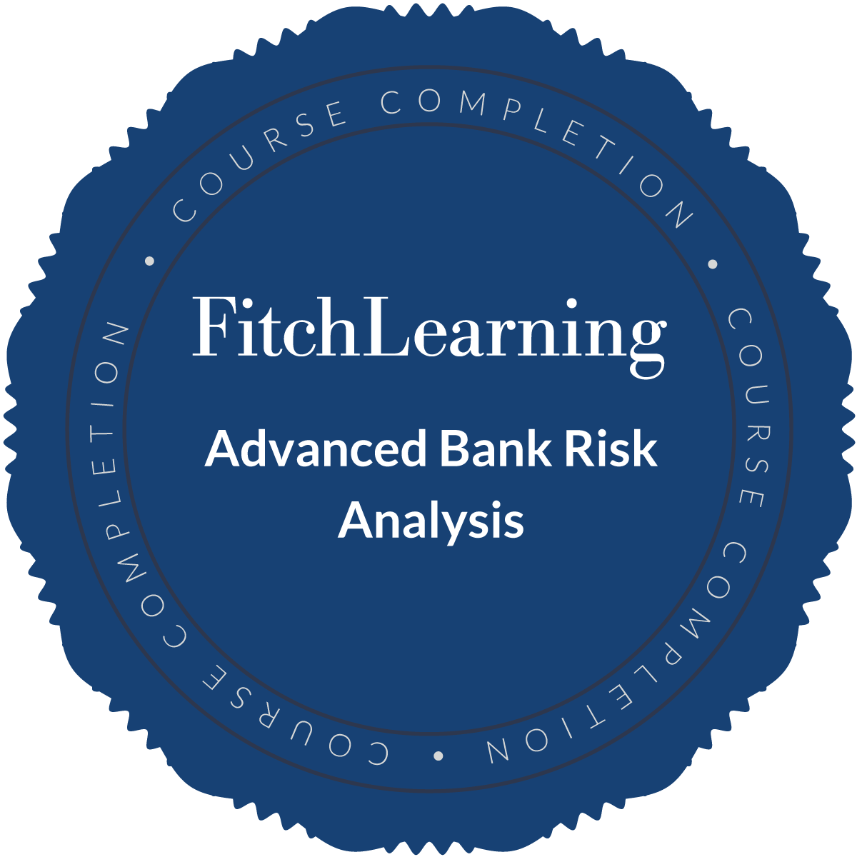 Advanced Bank Risk Analysis
