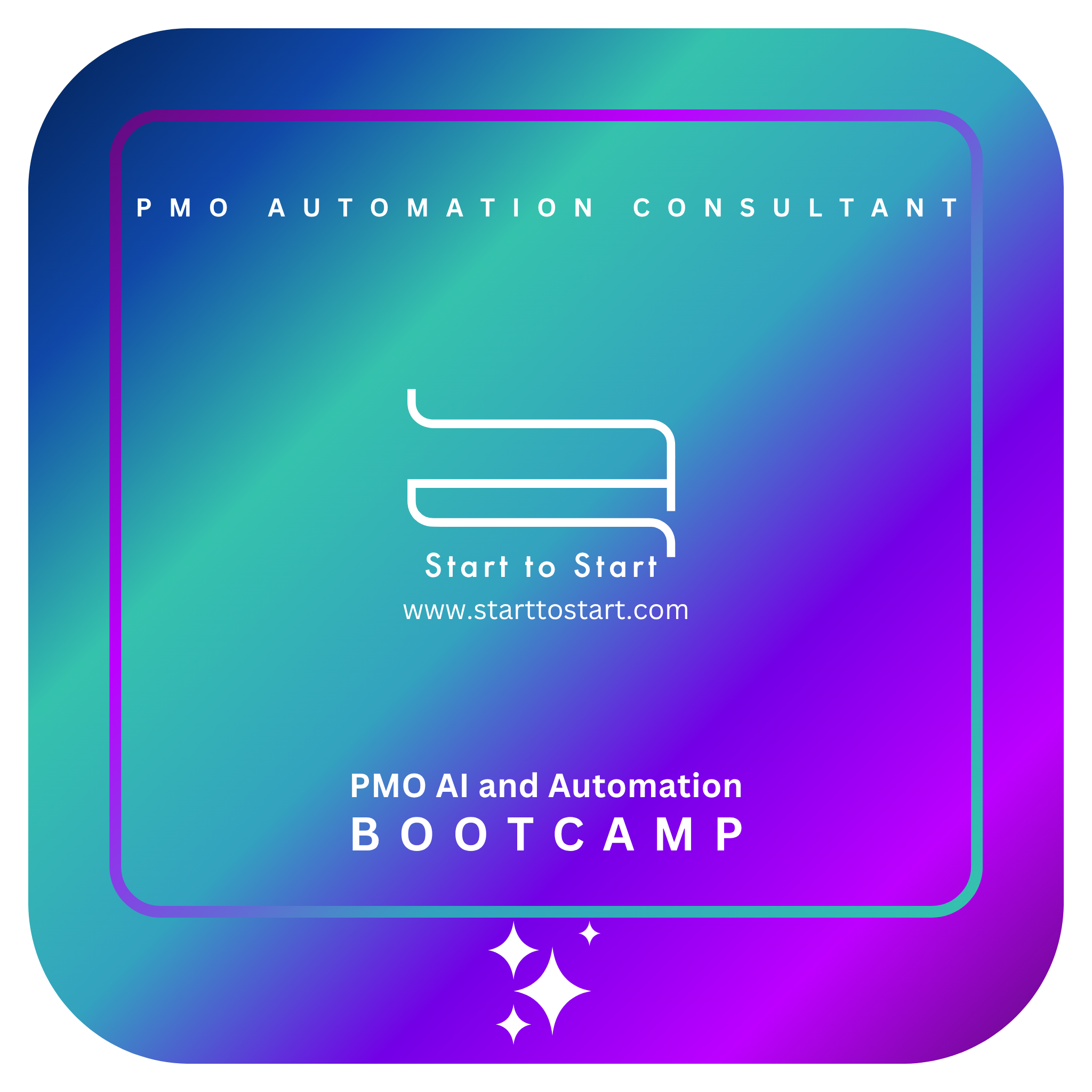 PMO Automation Consultant