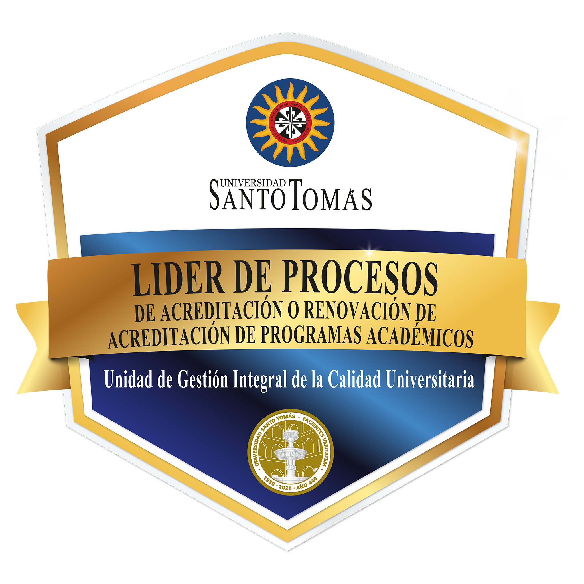 Lider de procesos de acreditación o renovación de acreditación de programas académicos