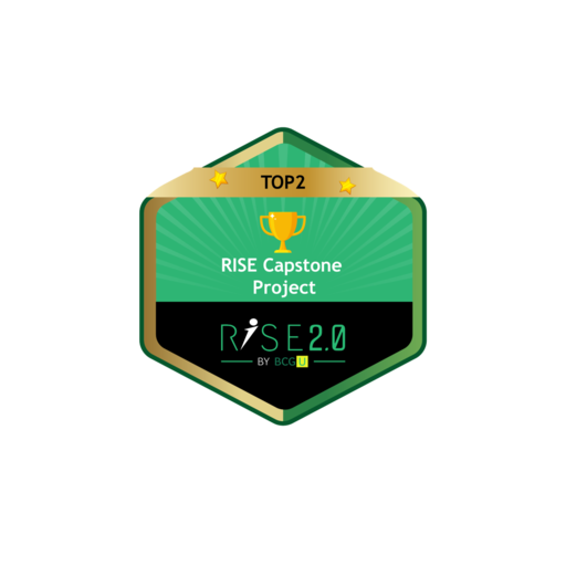 BCG RISE Capstone Top 2 (Business and Data Analytics) - Credly