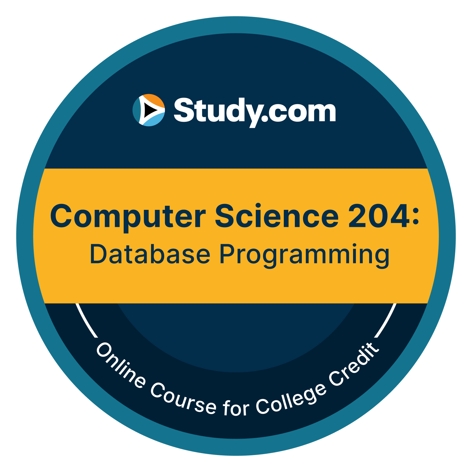 Computer Science 204: Database Programming (v.2)