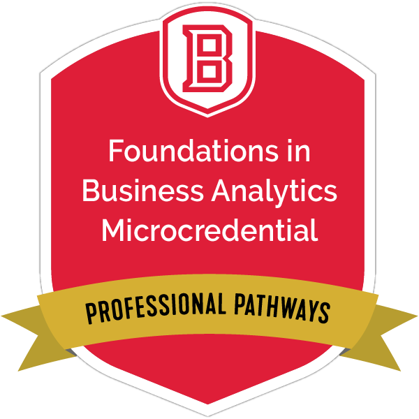 Foundations in Business Analytics