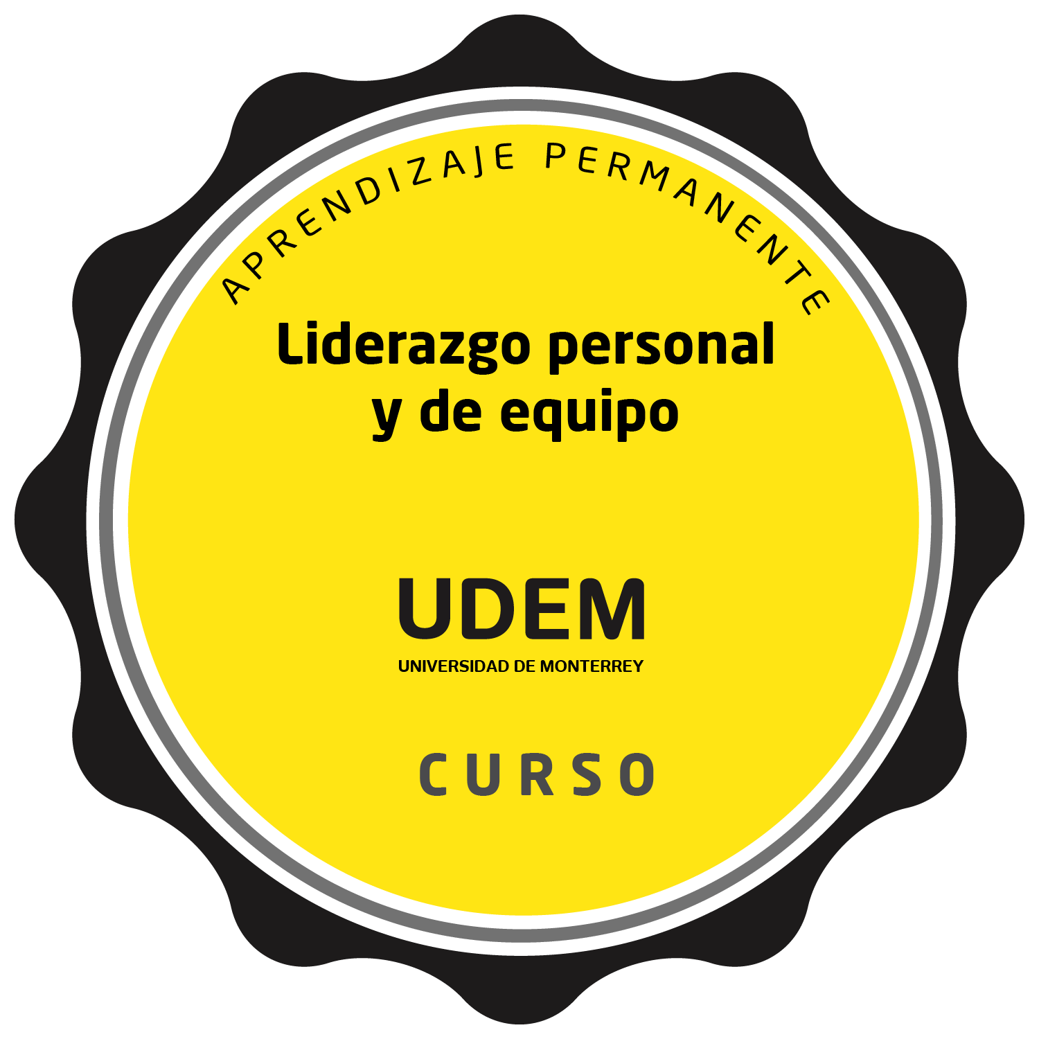 Liderazgo personal y de equipo