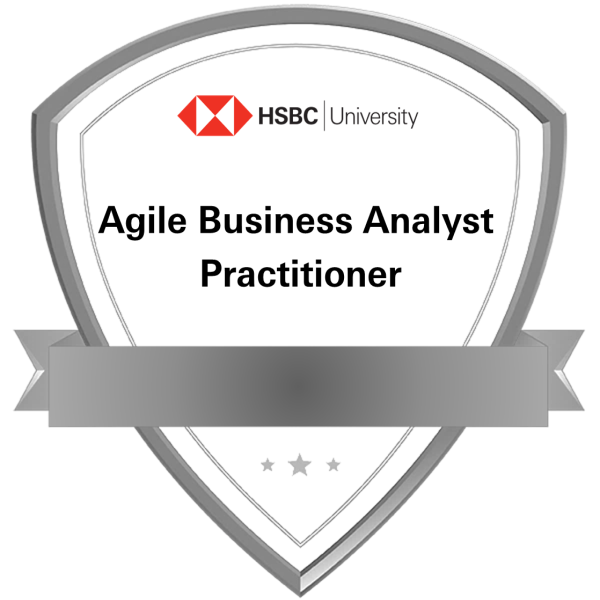 Agile Business Analyst Practitioner