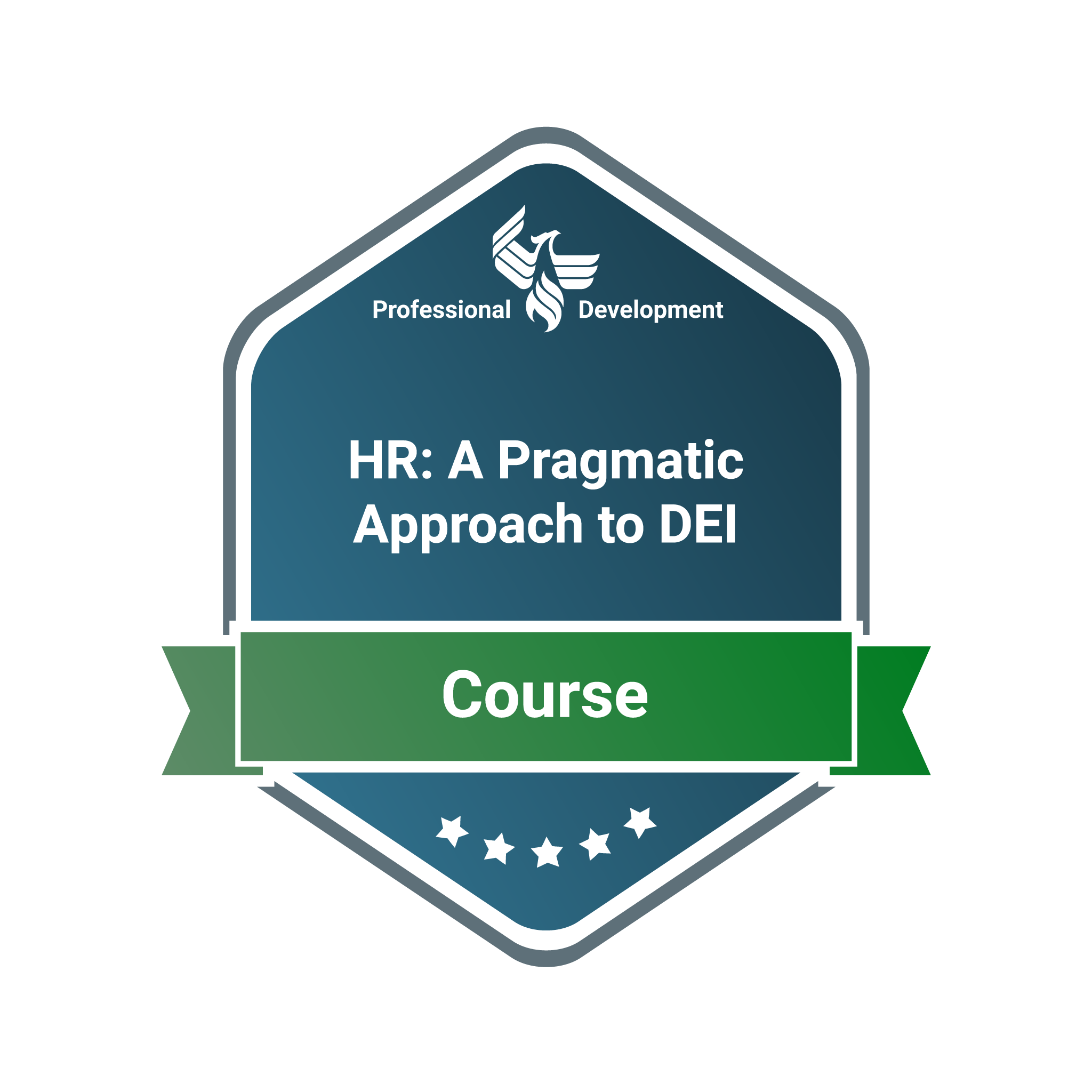Human Resources: A Pragmatic Approach to DE&I