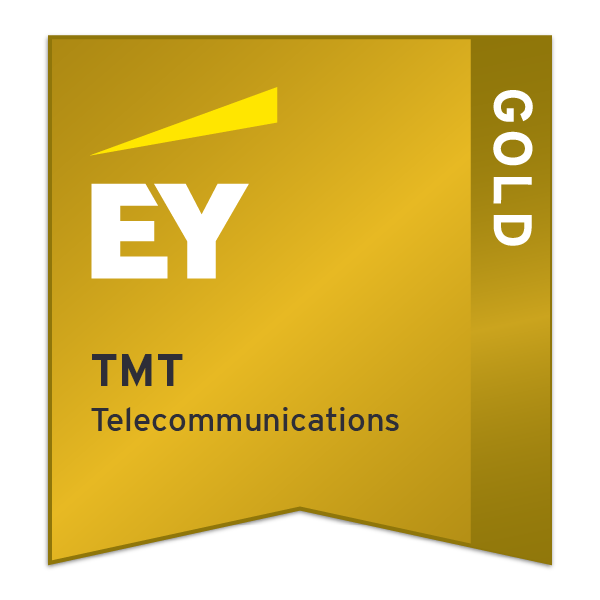 EY TMT Telecommunications - Gold (2021)
