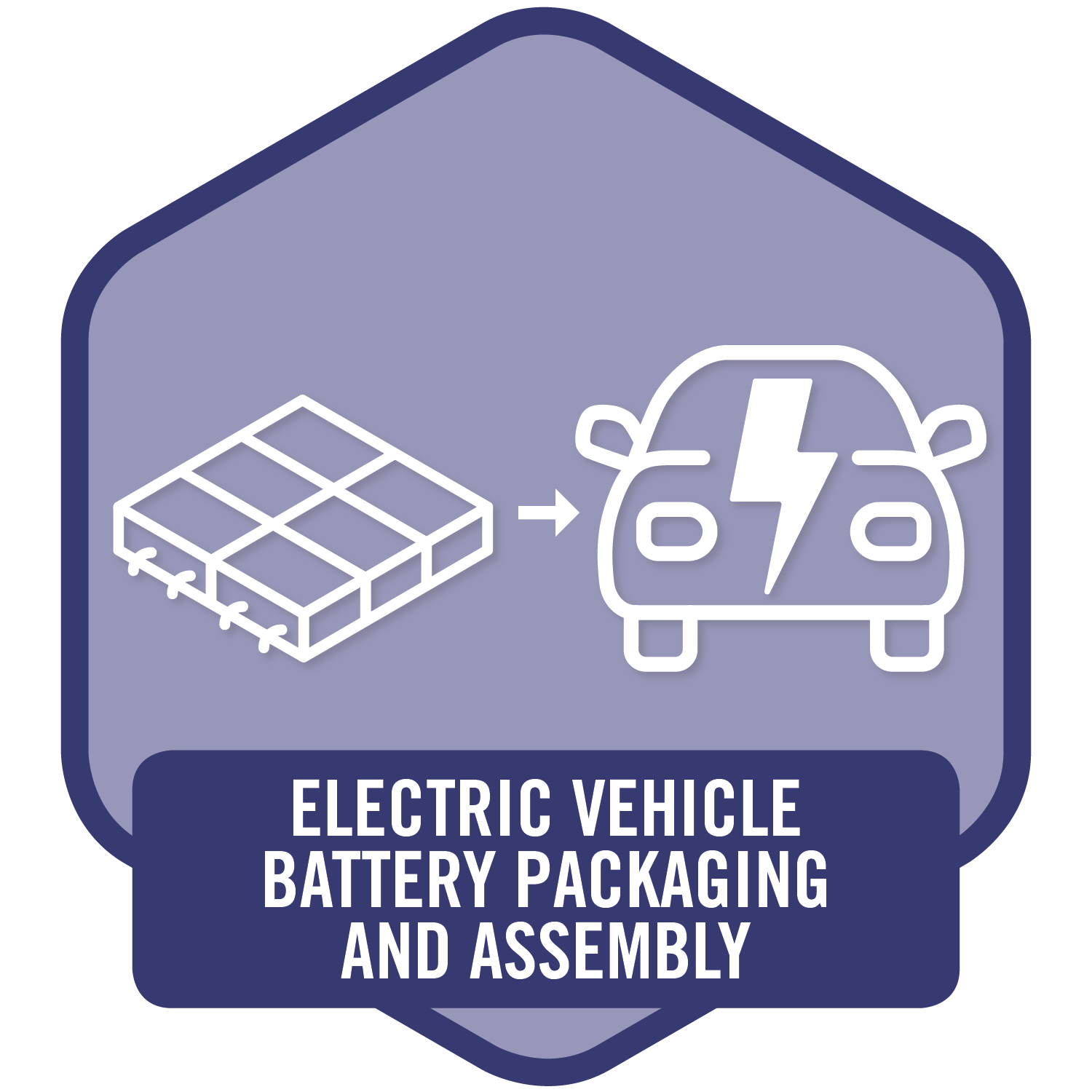 Electric Vehicle Battery Packaging and Assembly (EVBPA)