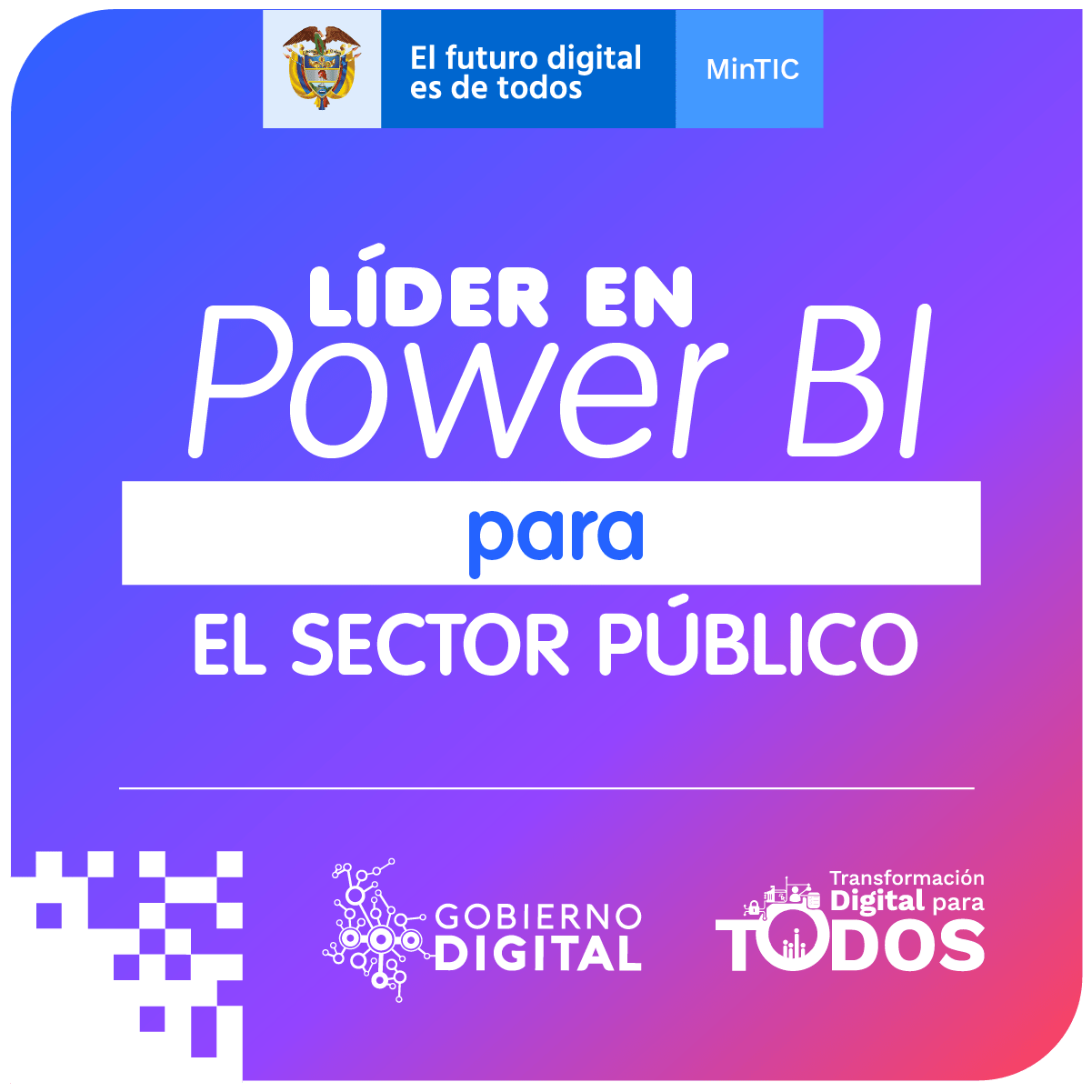 Líder en Power BI para el sector público