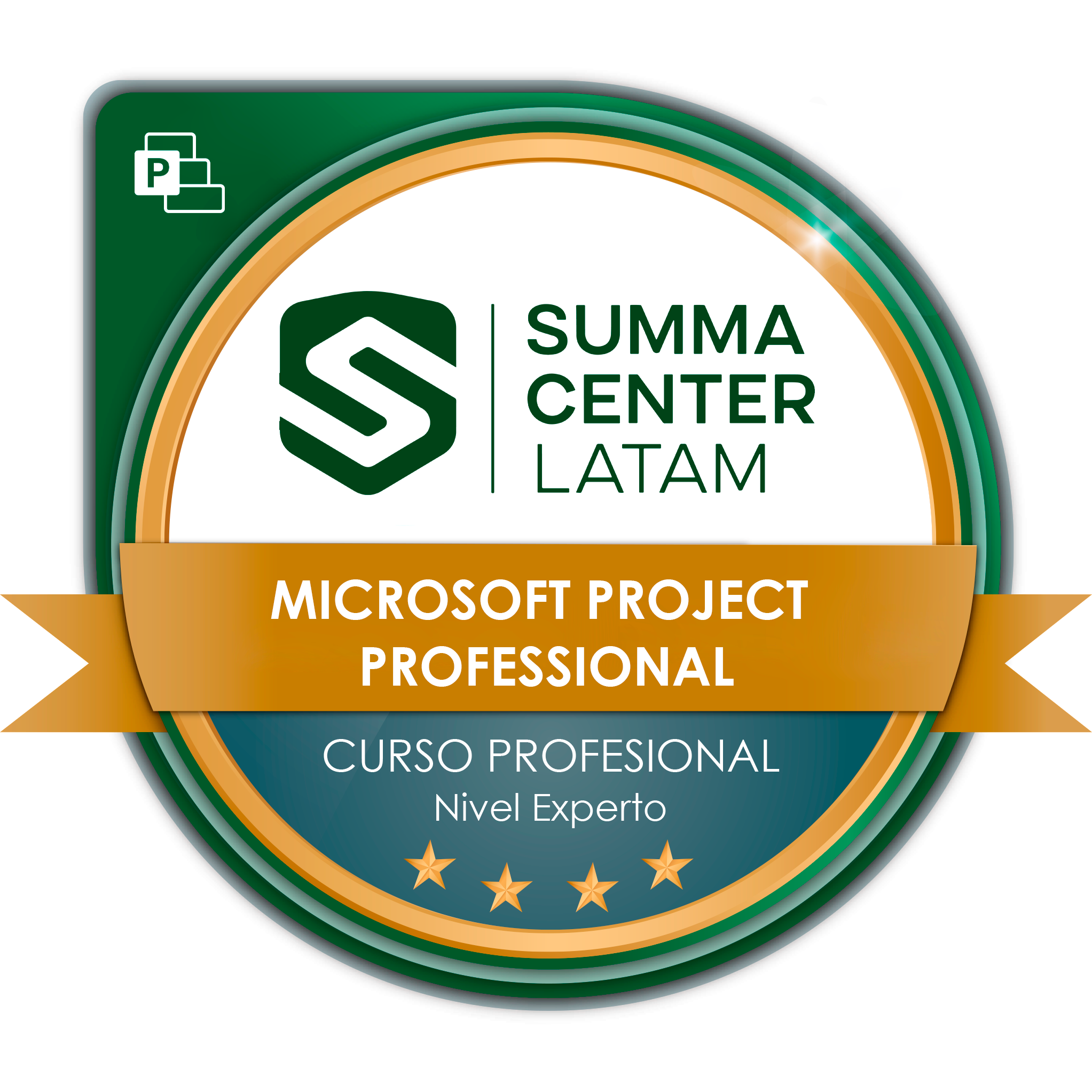 MS Project Profesional Nivel Experto - Platinum