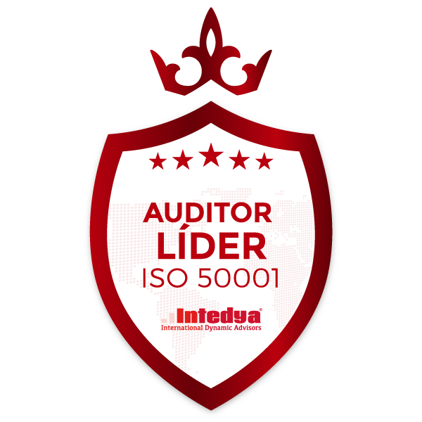 Auditor Líder ISO 50001