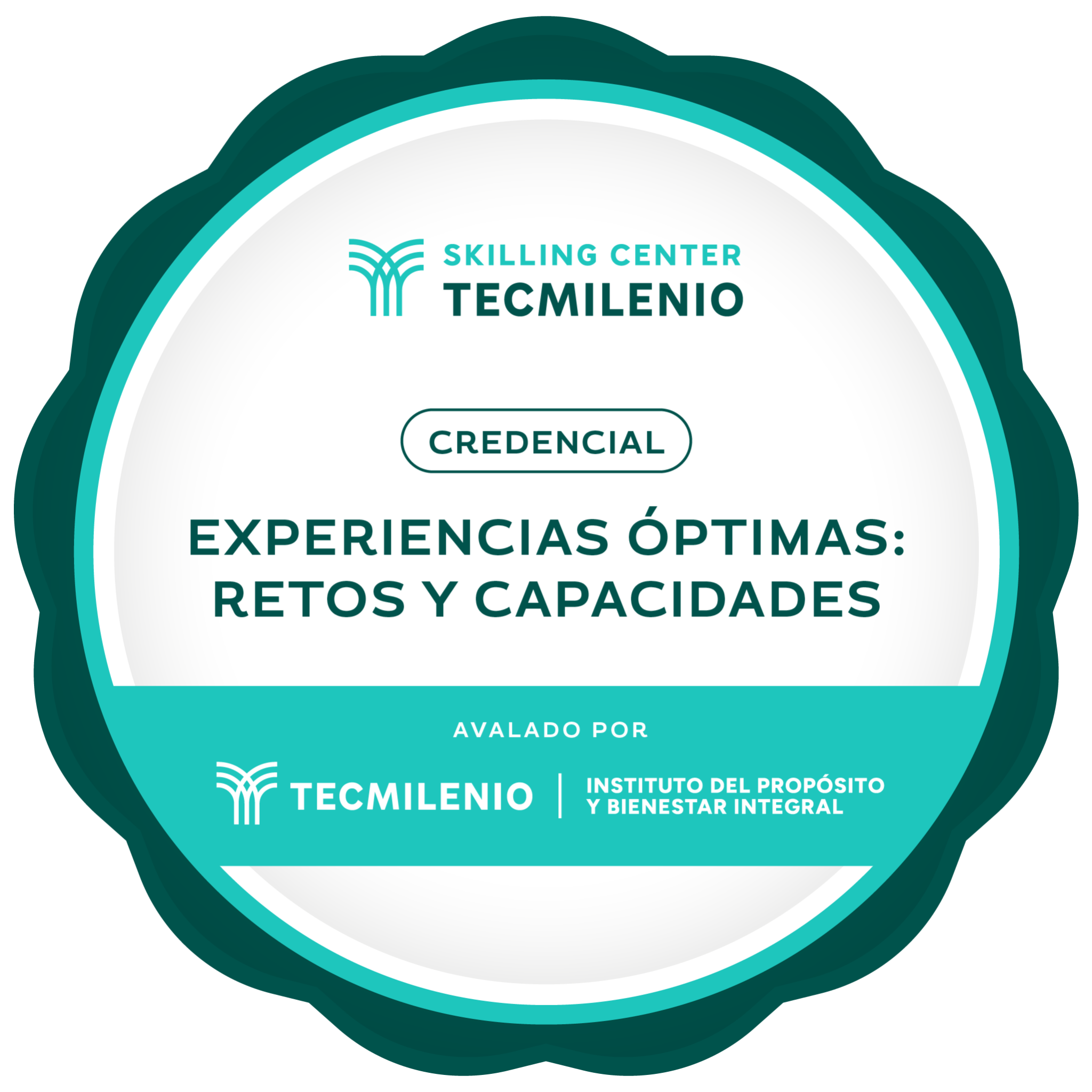 Credencial Experiencias óptimas: retos y capacidades