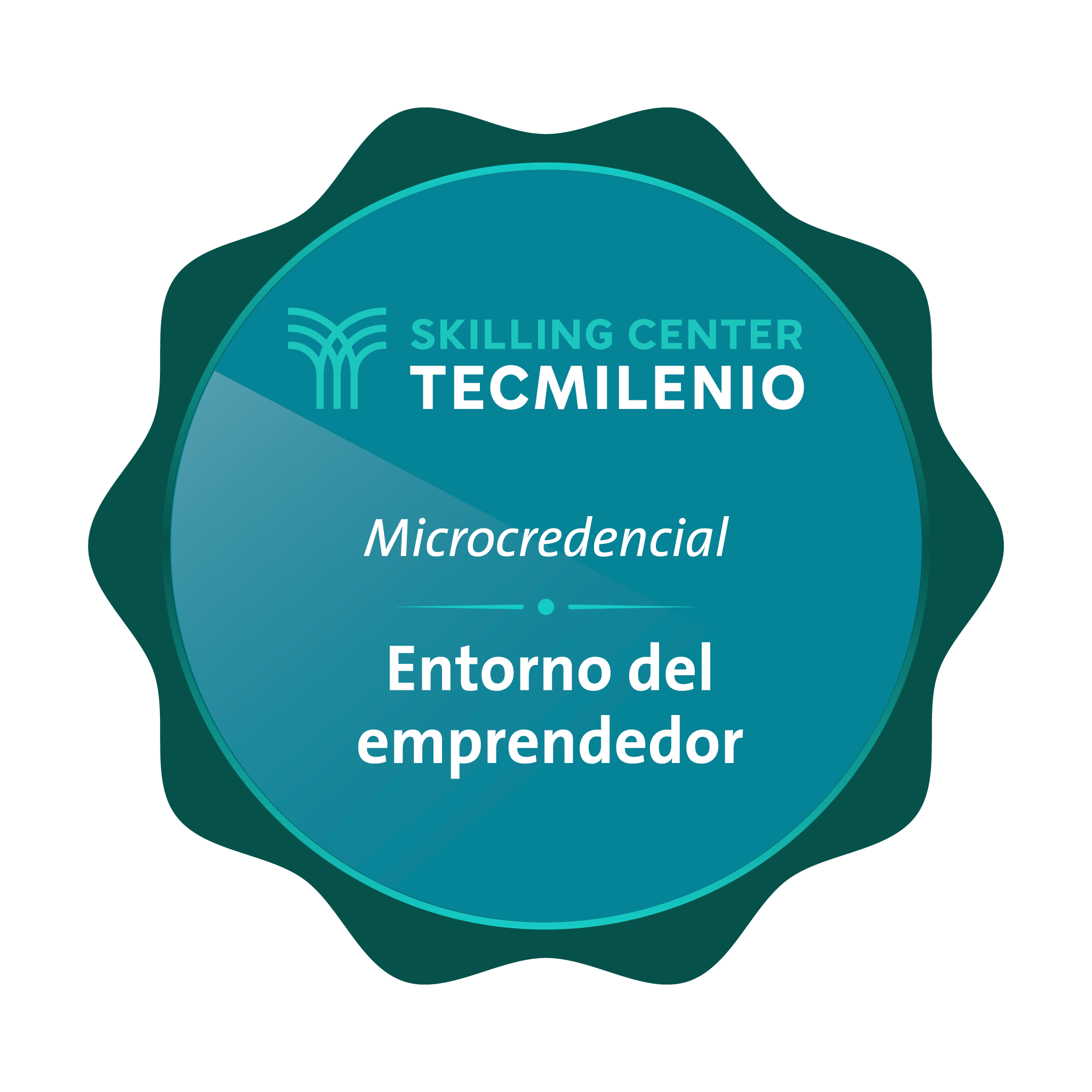 Microcredencial Entorno del emprendedor