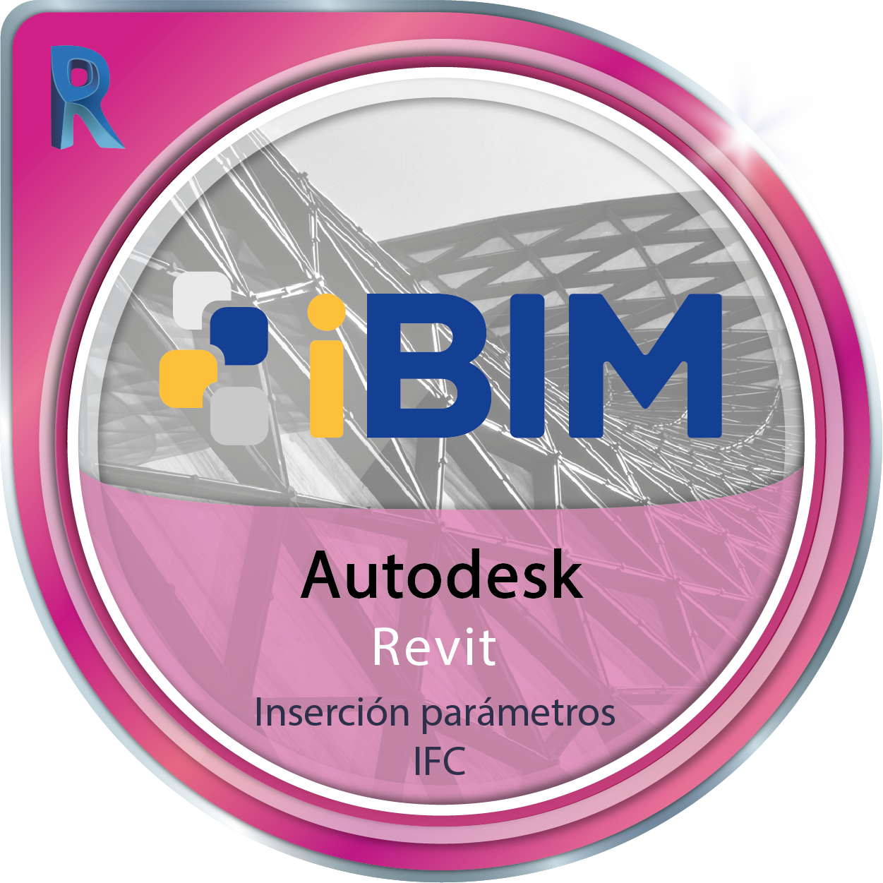 Inserción de parámetros IFC en modelos Autodesk Revit