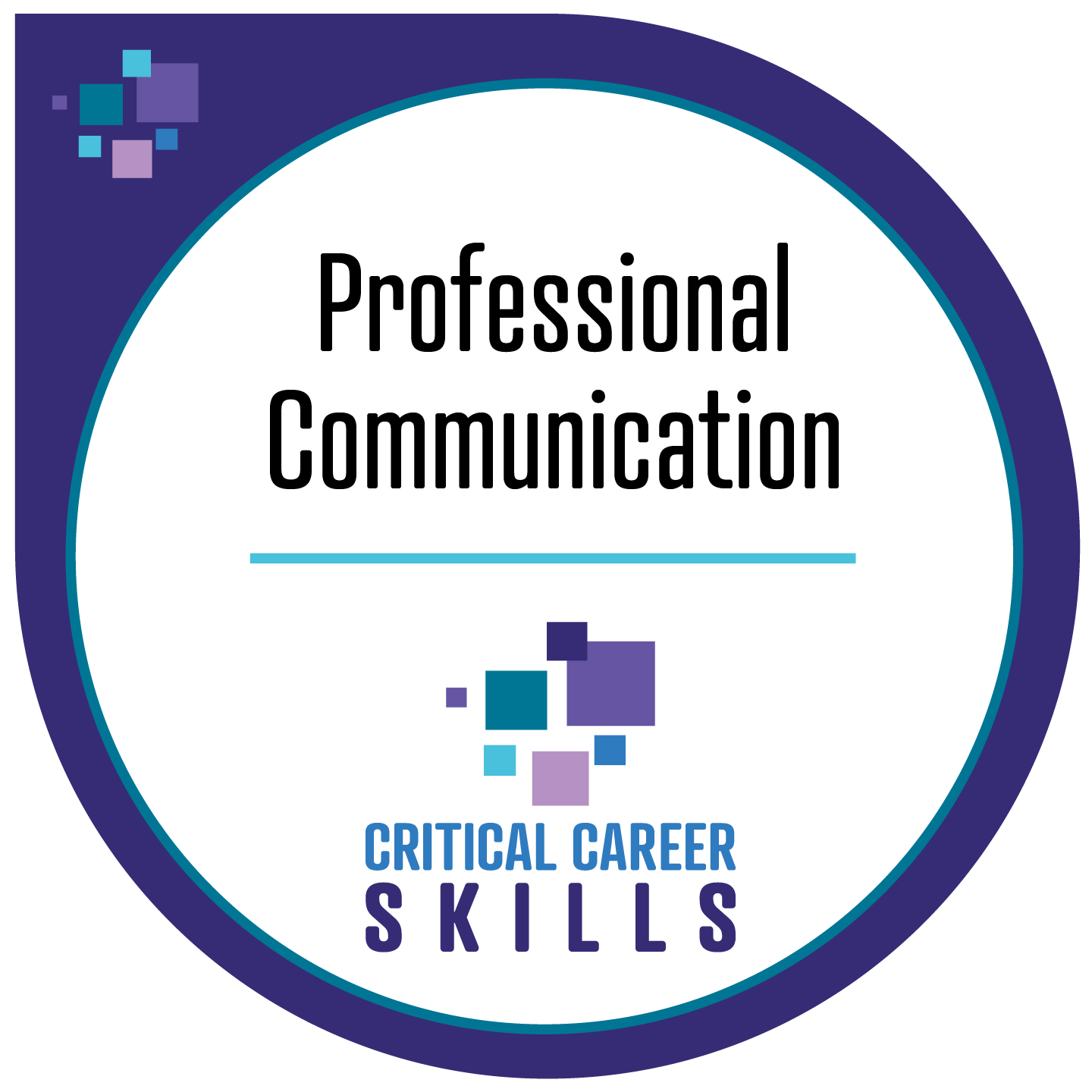 Critical Career Skills - Professional Communication