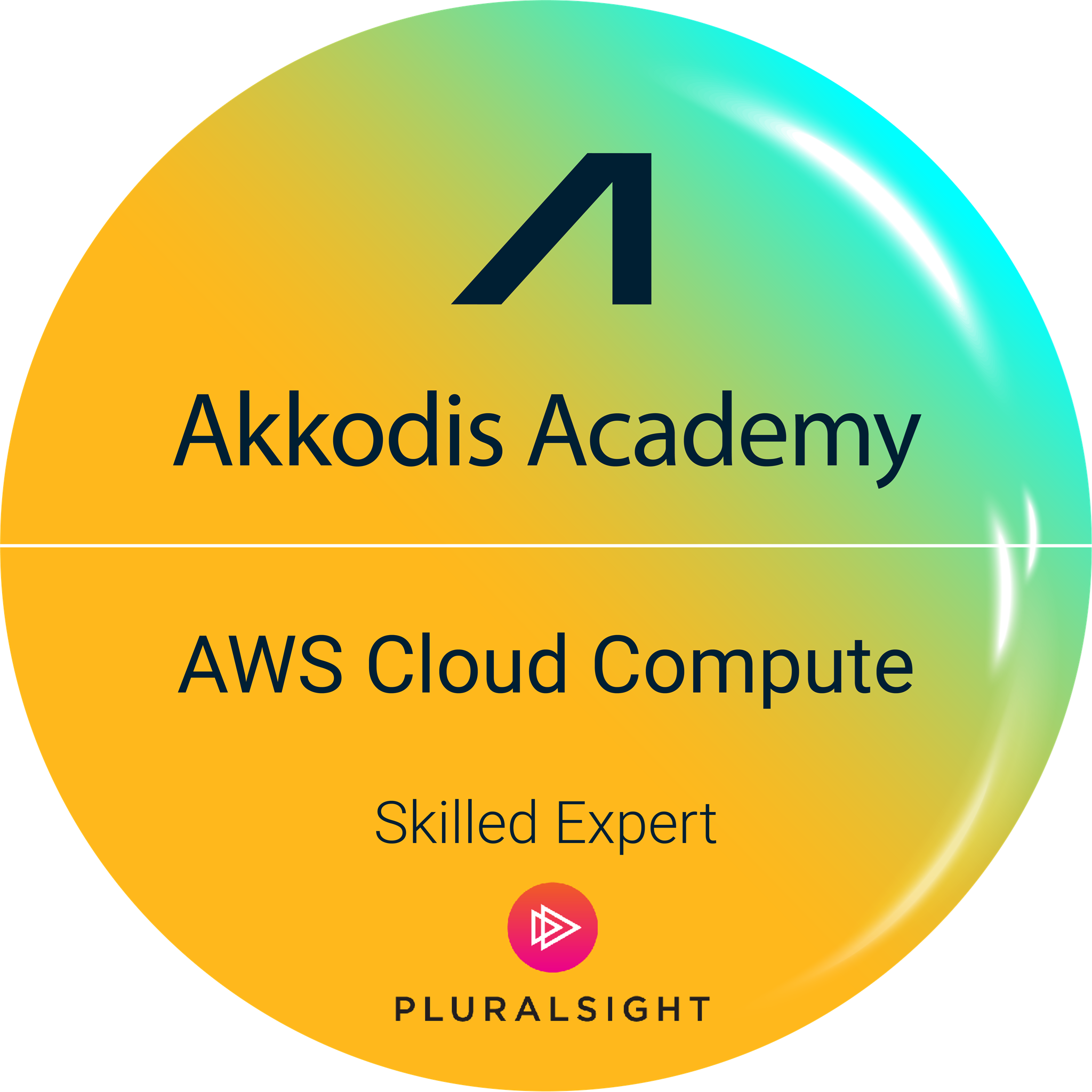 AWS Cloud Compute Skilled Expert