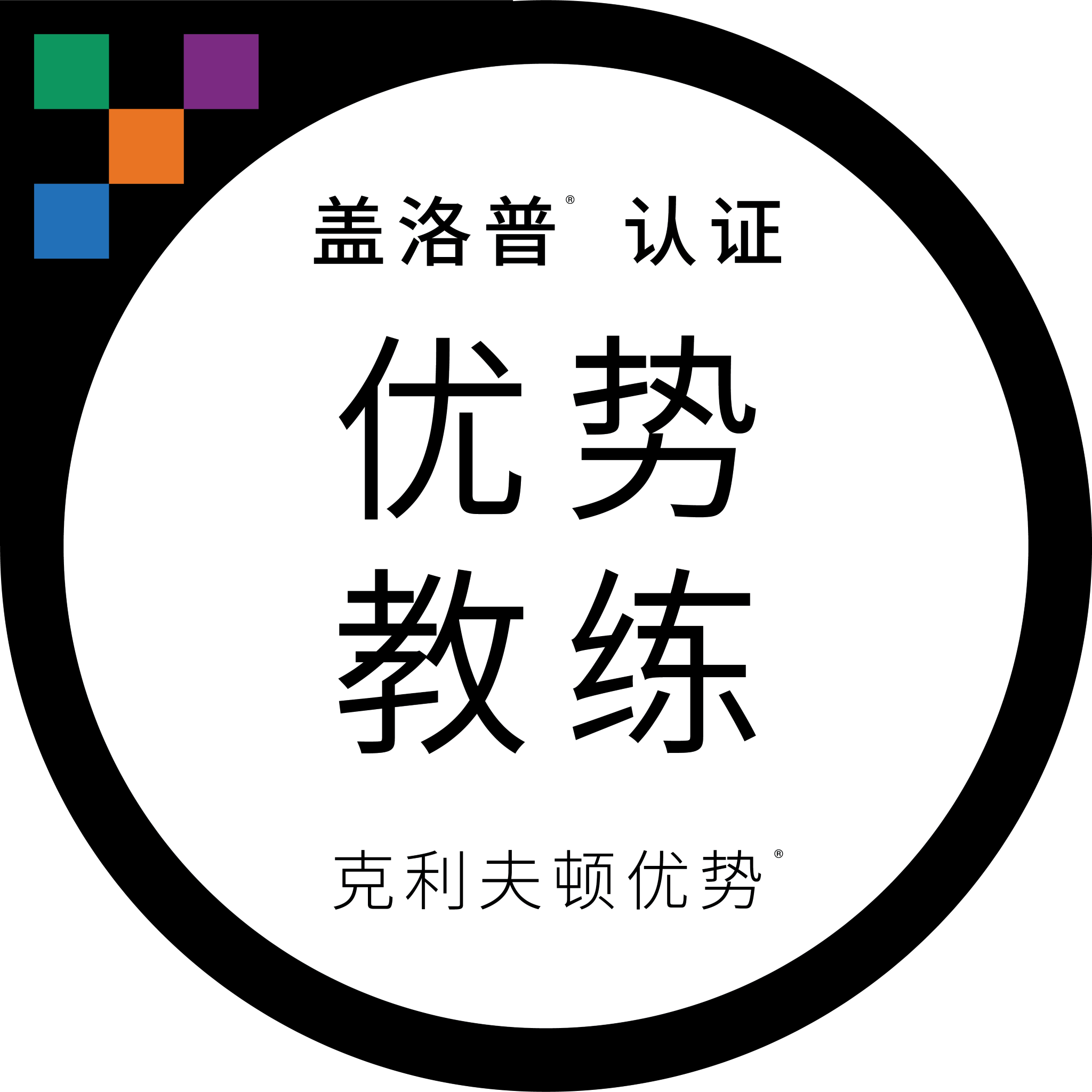 盖洛普®认证 优势 教练