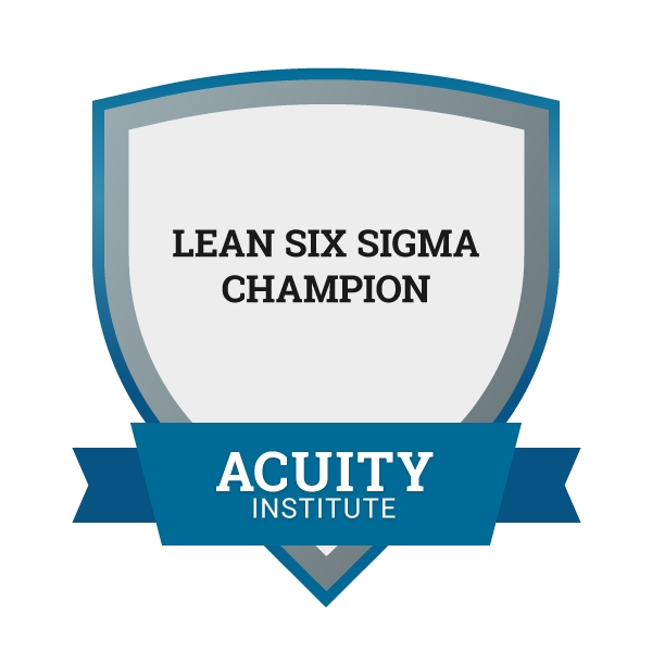 Lean Six Sigma Champion