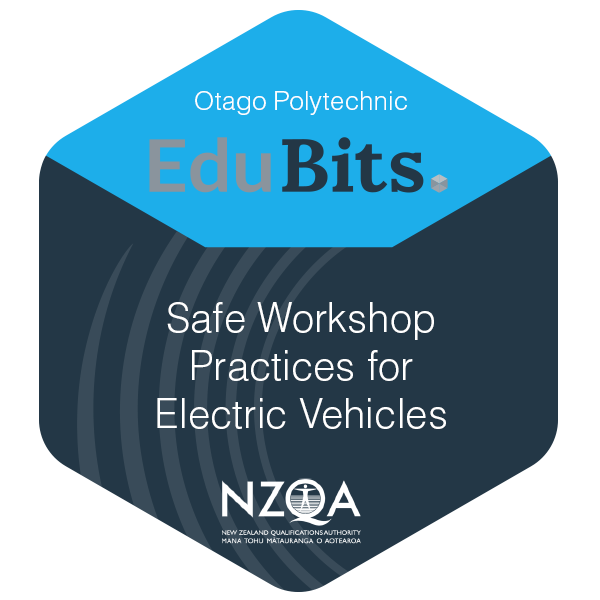 Safe Workshop Practices for Electric Vehicles