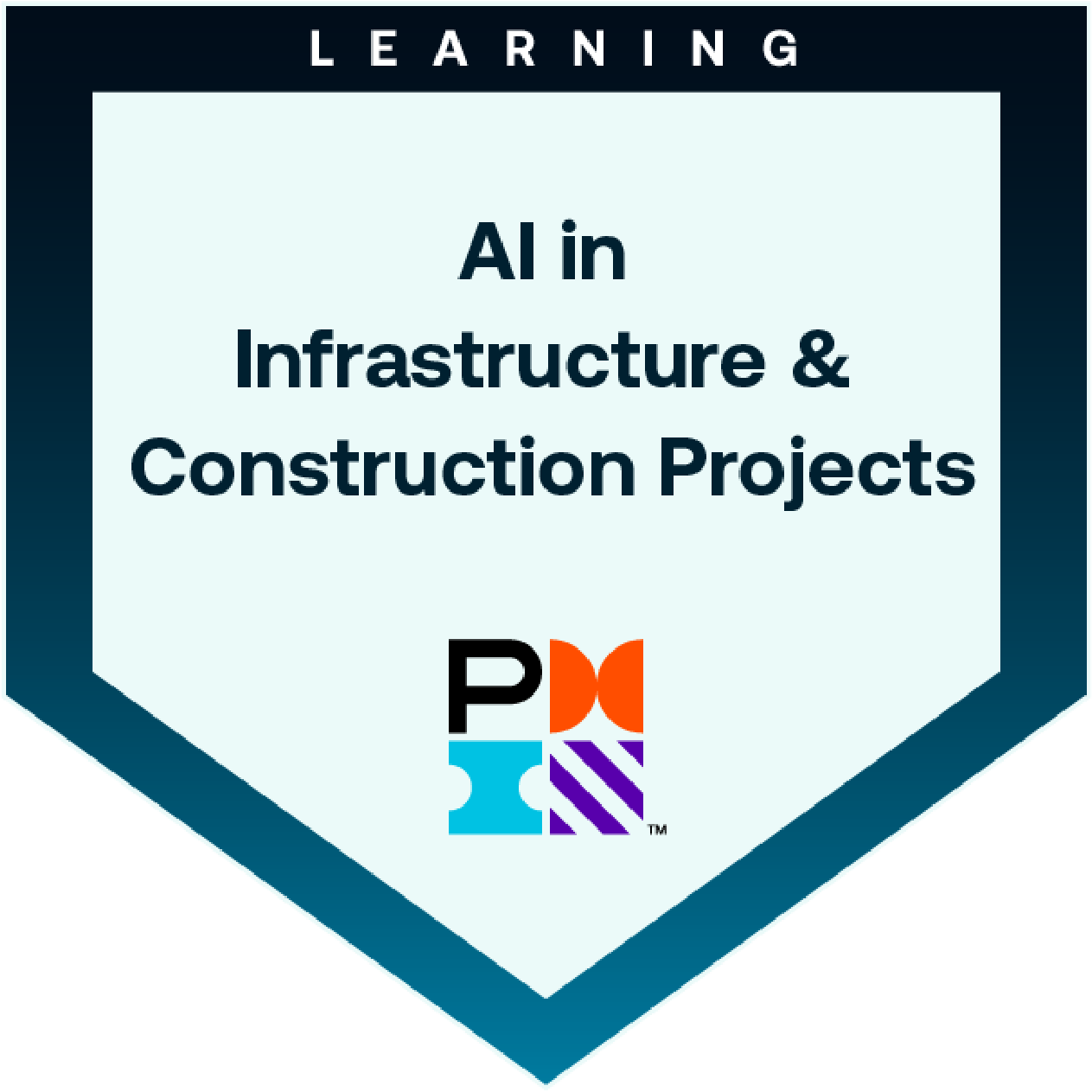 AI in Infrastructure & Construction Projects