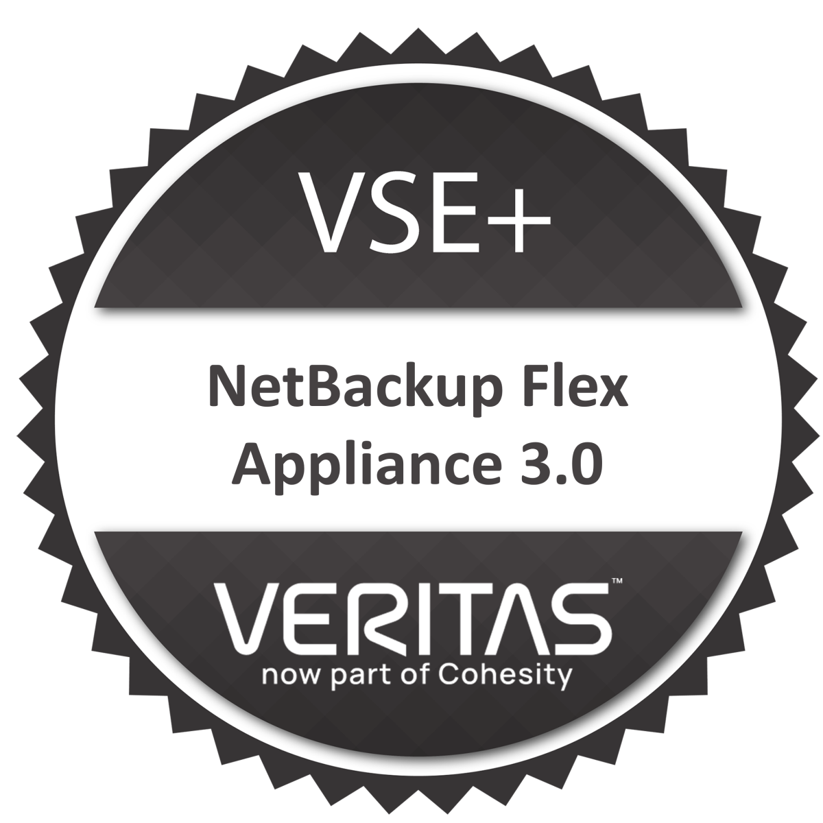 VSE+ Veritas NetBackup Flex Appliance 3.0