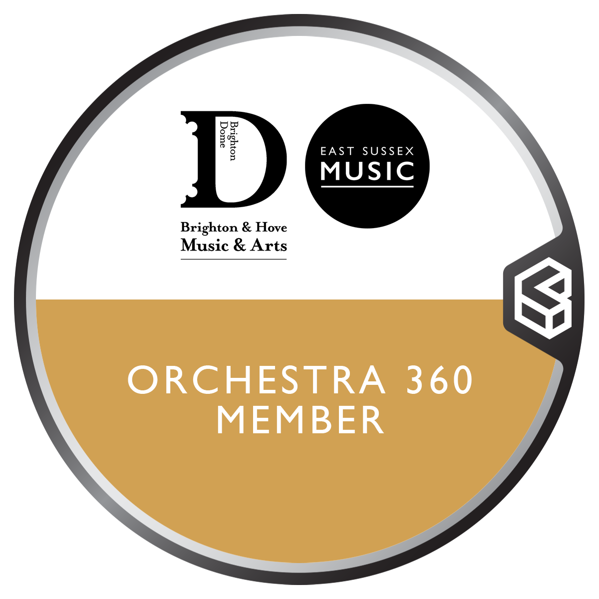 Brighton & Hove Music & Arts Orchestra 360 Member