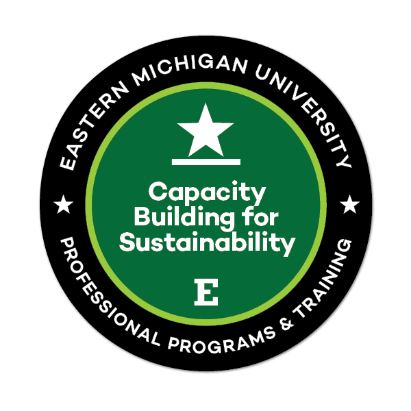 Capacity Building for Long Term Sustainability