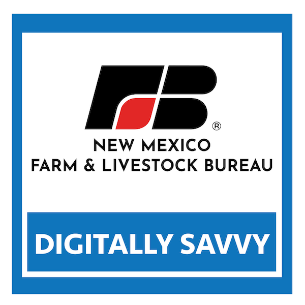 NMF&LB Digitally Savvy