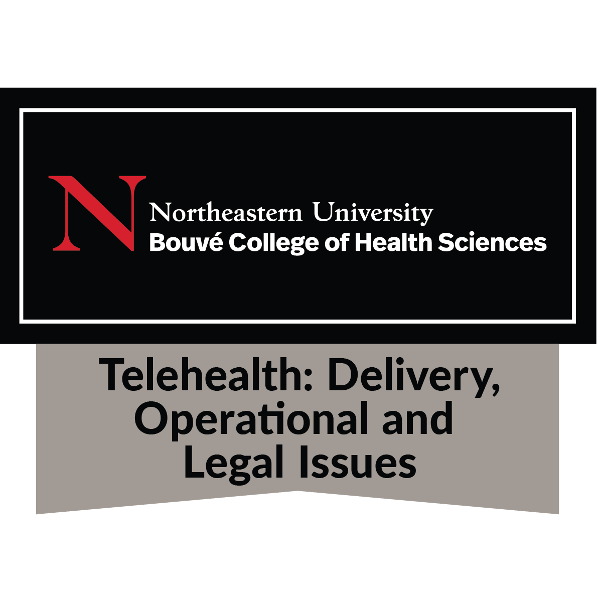 Telehealth: Delivery, Operational and Legal Issues