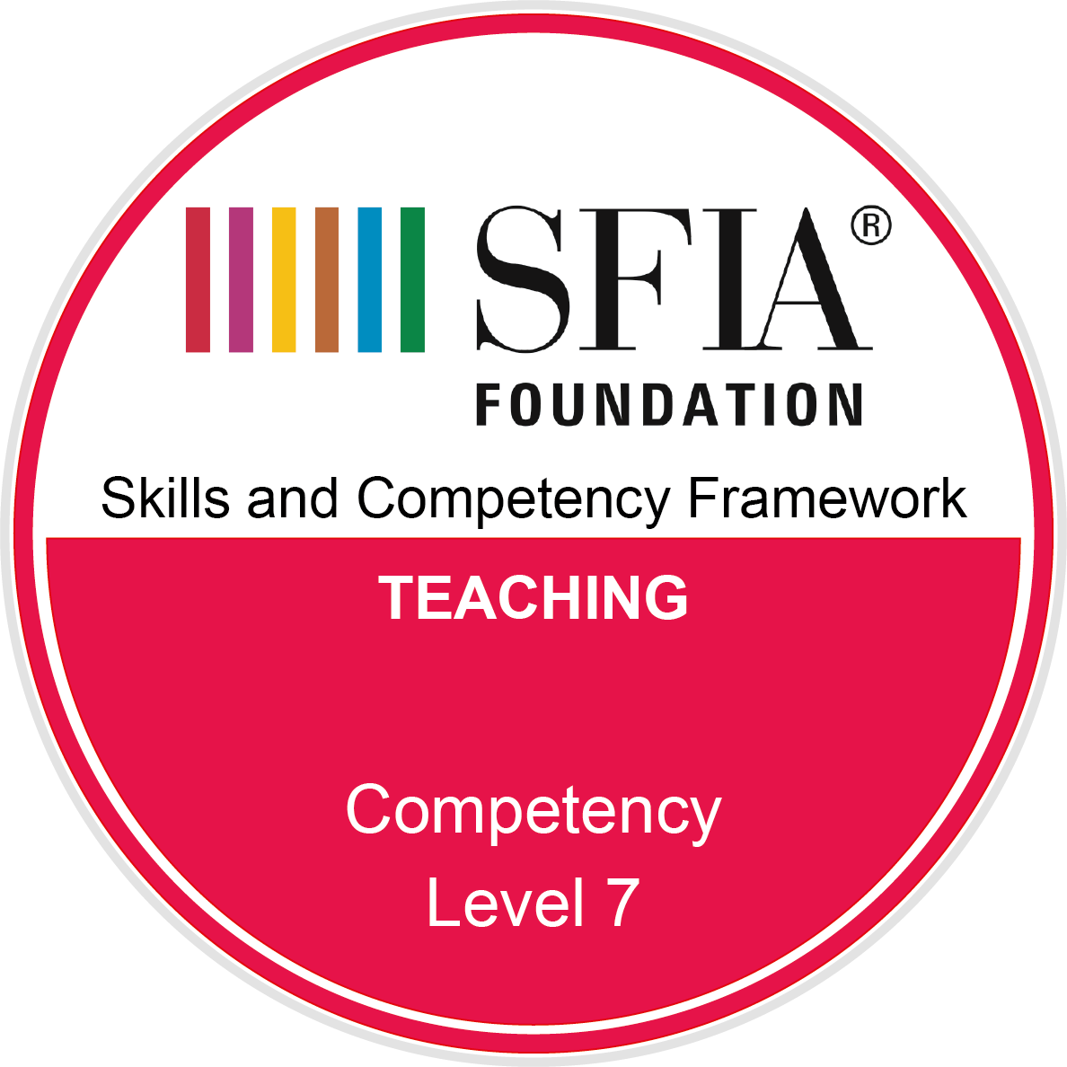 Teaching - Competency - Level 7