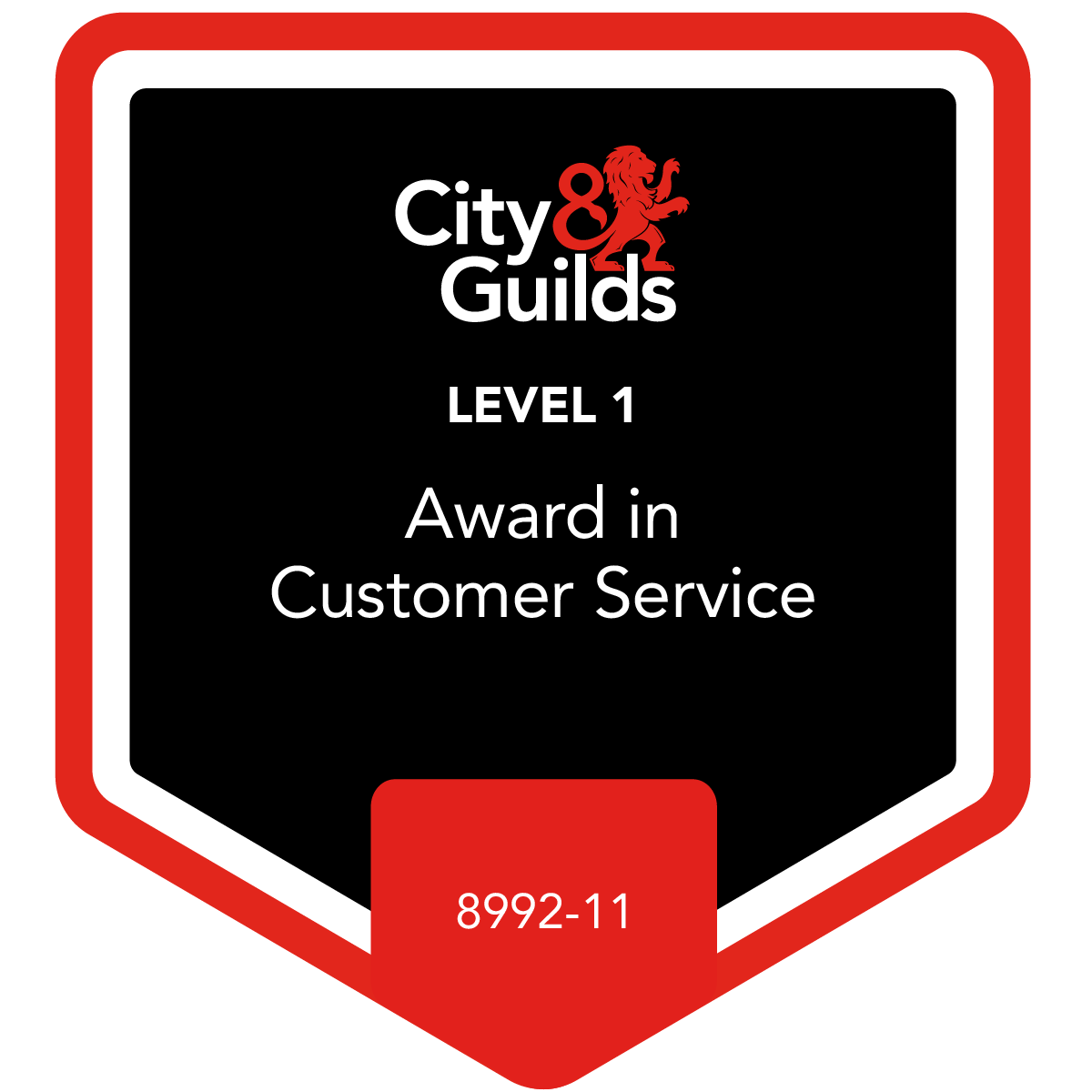 Level 1 Award in Customer Service - 8992-11