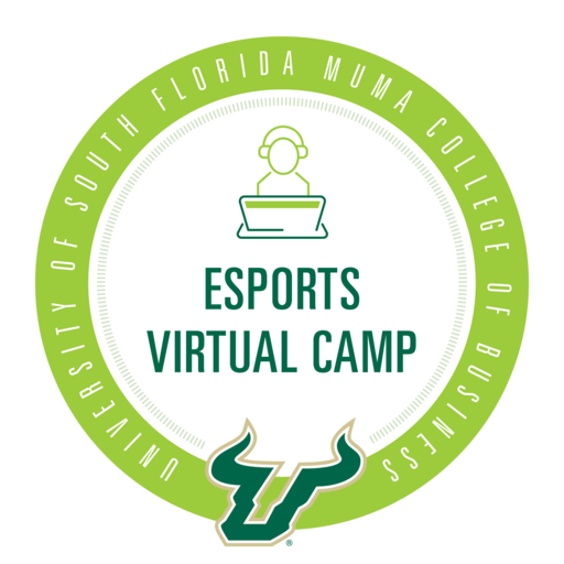 USF Esports Virtual Camp - Credly
