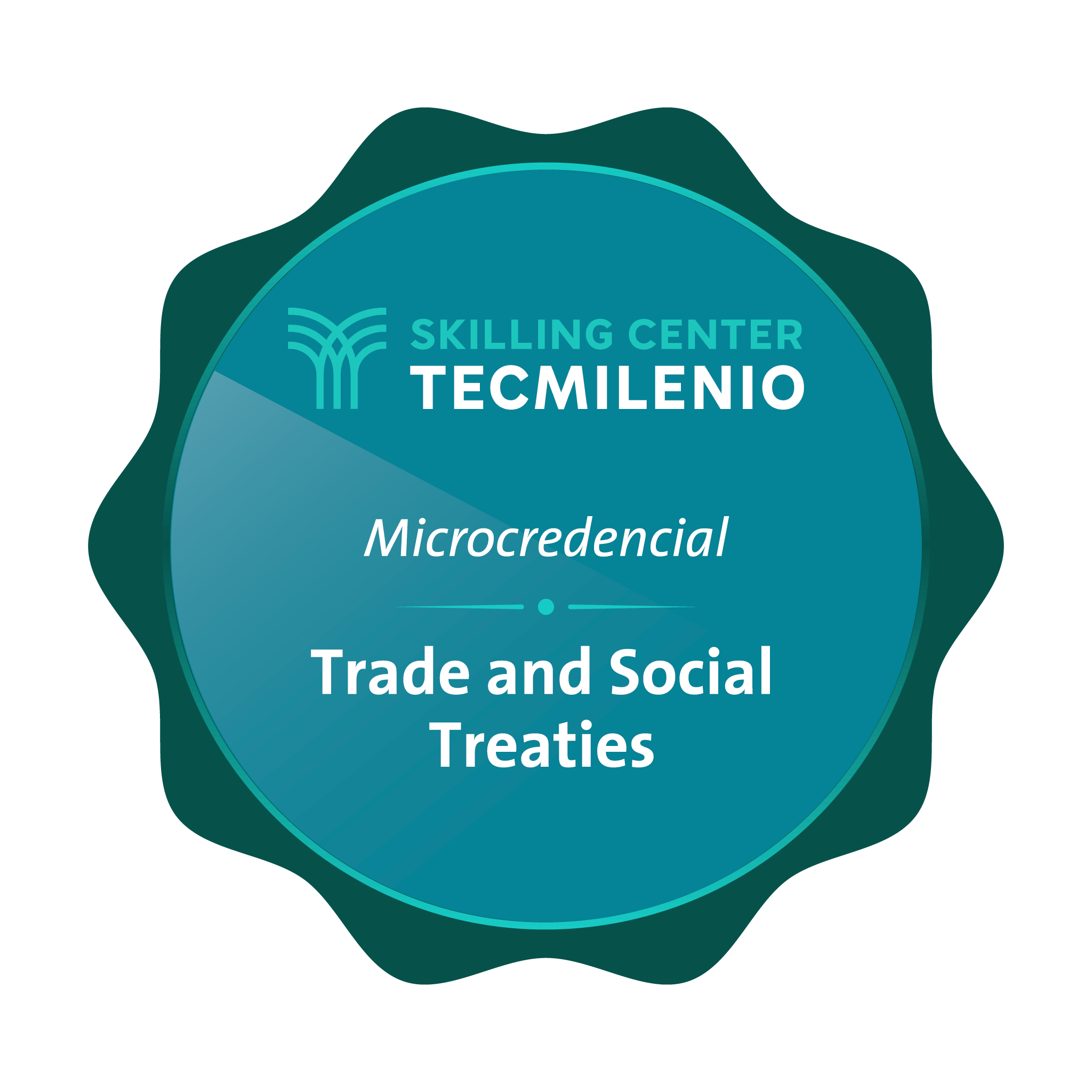 Microcredencial Trade and social treaties