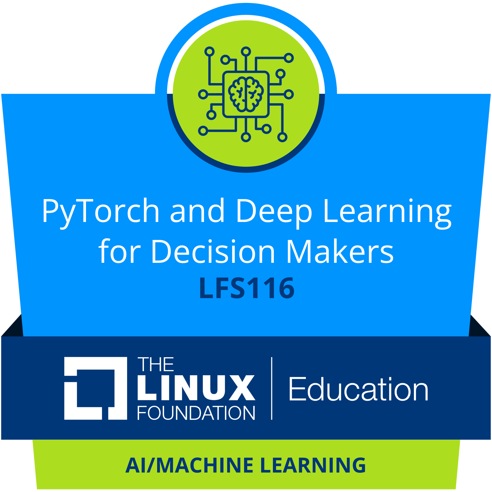 LFS116: PyTorch and Deep Learning for Decision Makers