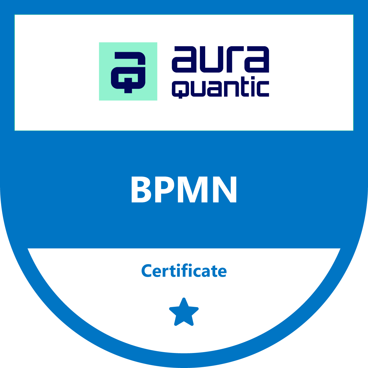 L1 - BPMN certificate