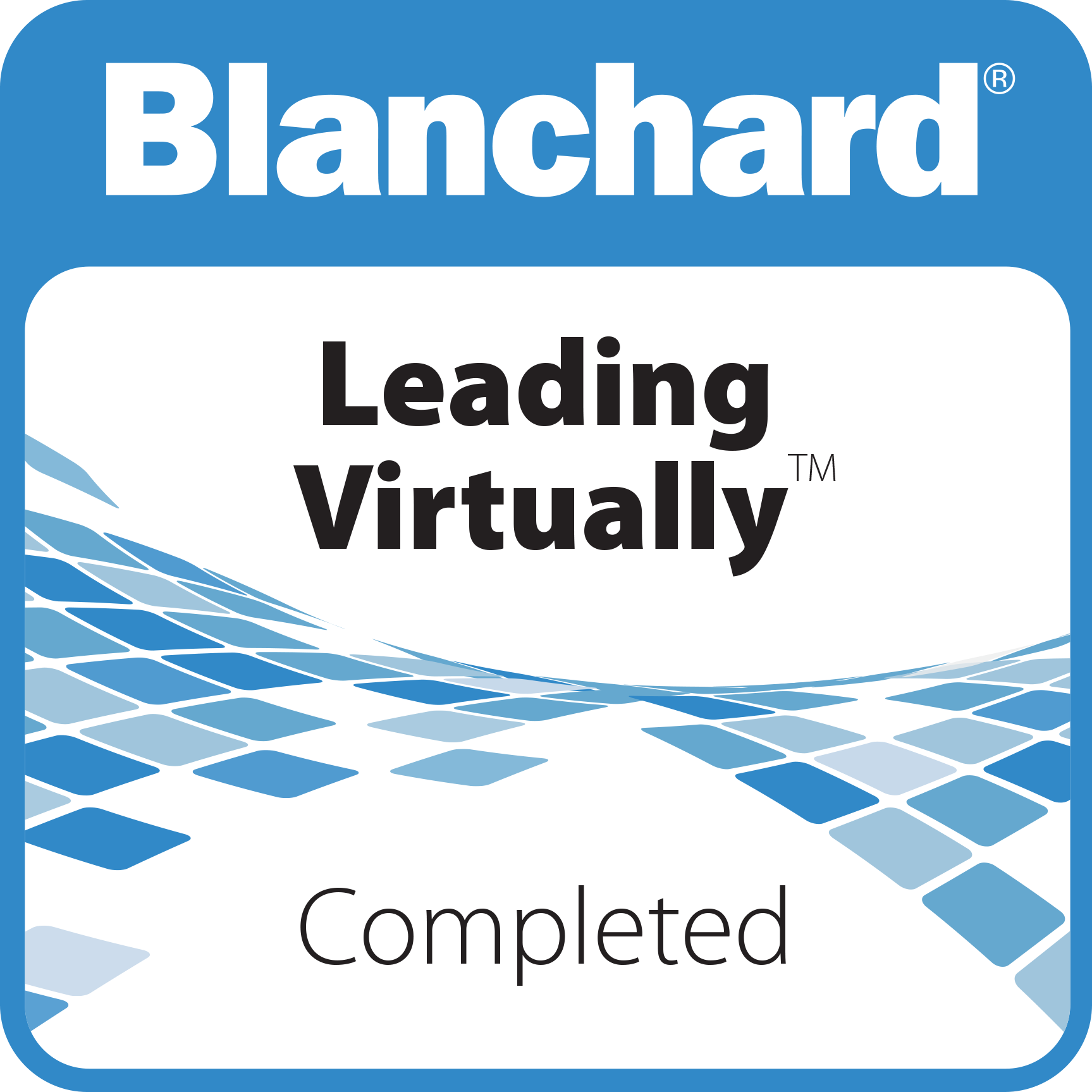 Leading Virtually™ - Completed