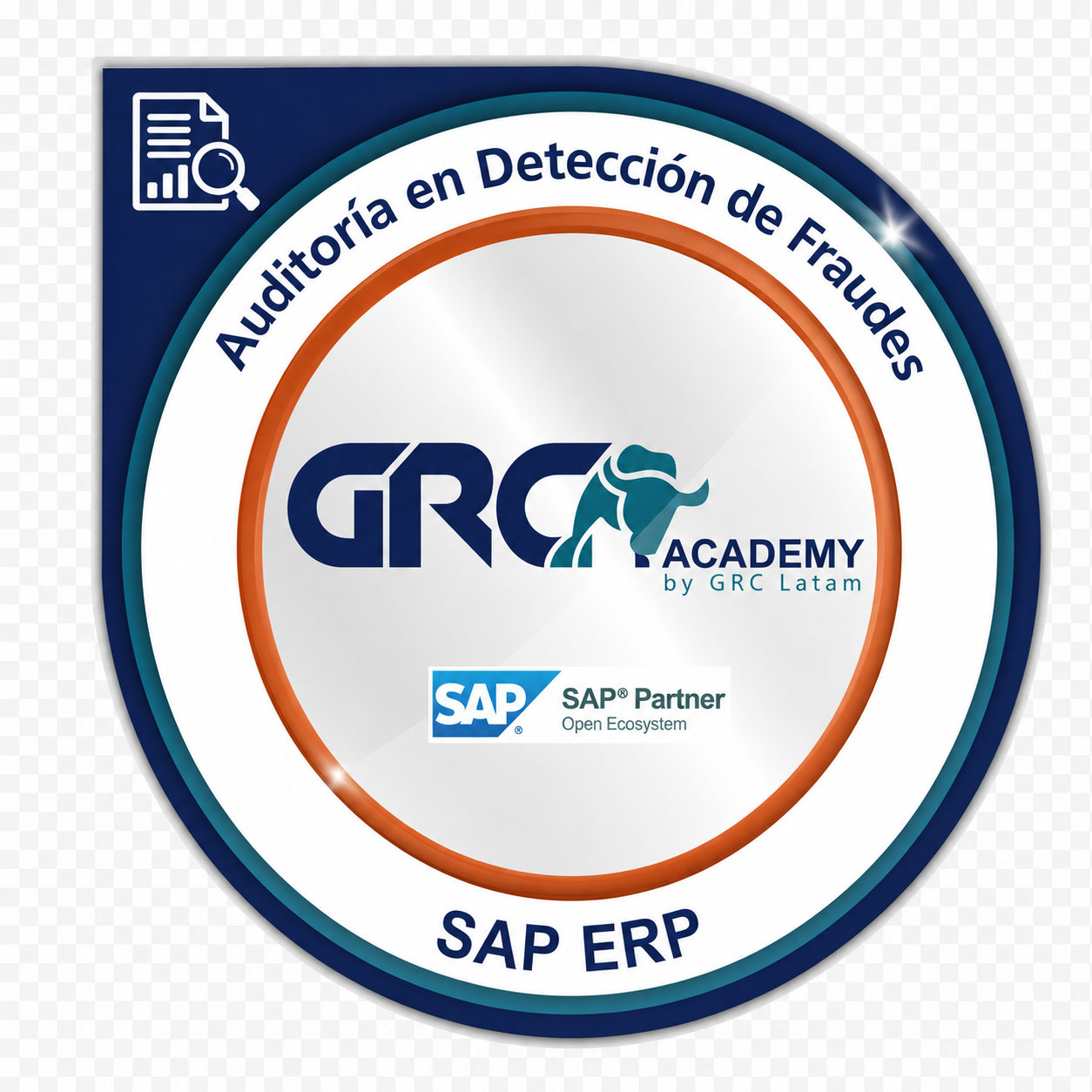 Auditoría en Detección de Fraudes SAP ERP