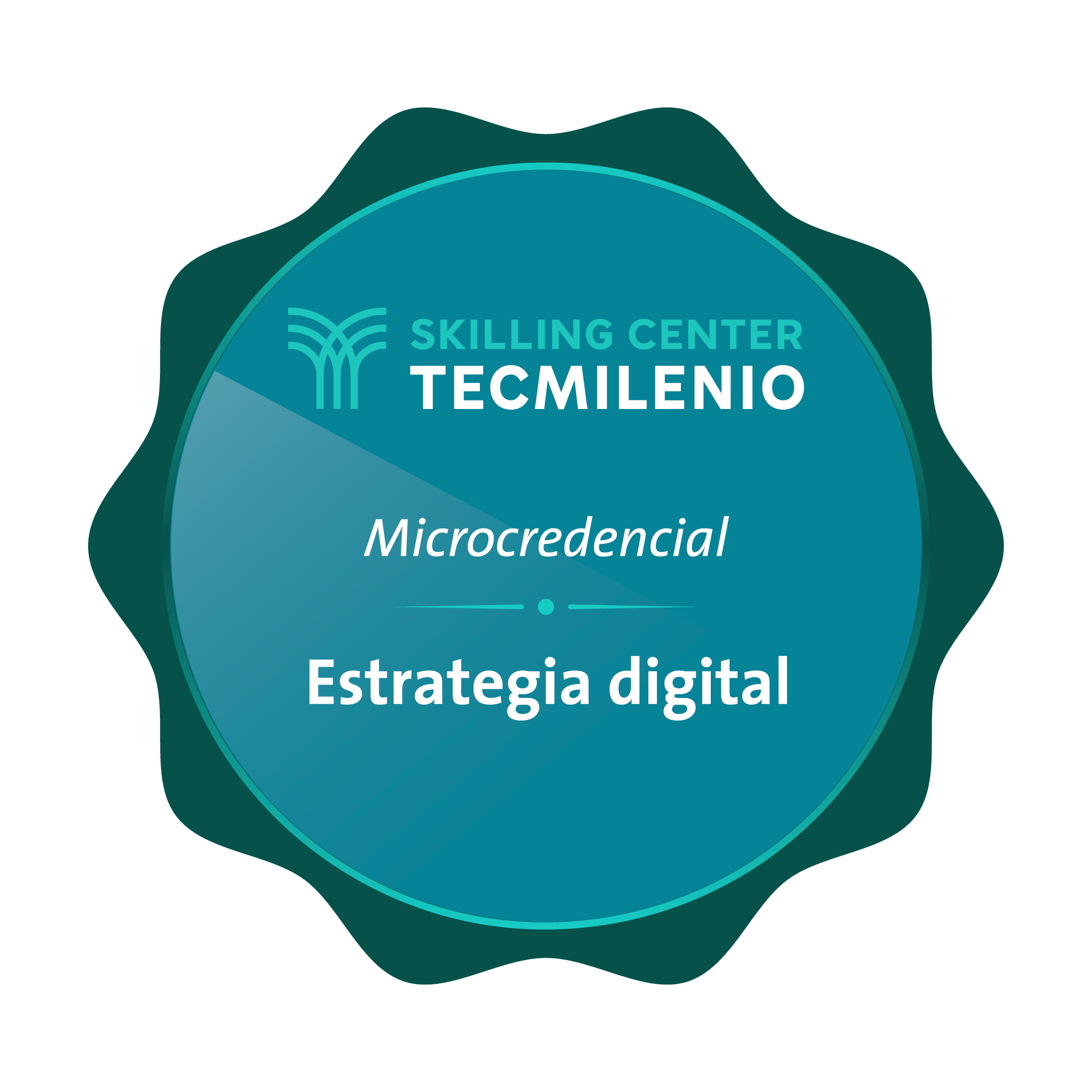 Microcredencial Estrategia digital
