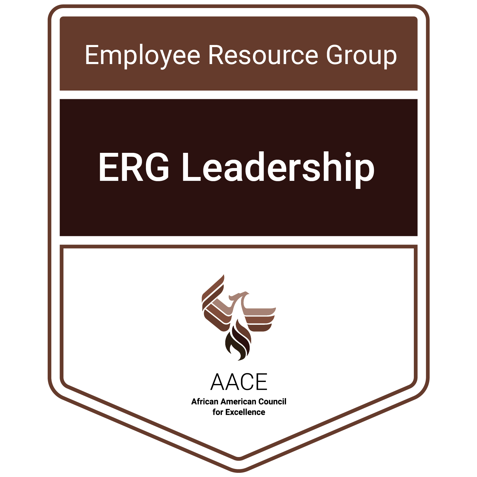 African American Council for Excellence ERG